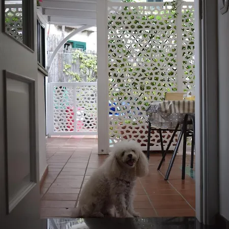 Paradiso אמאלפי